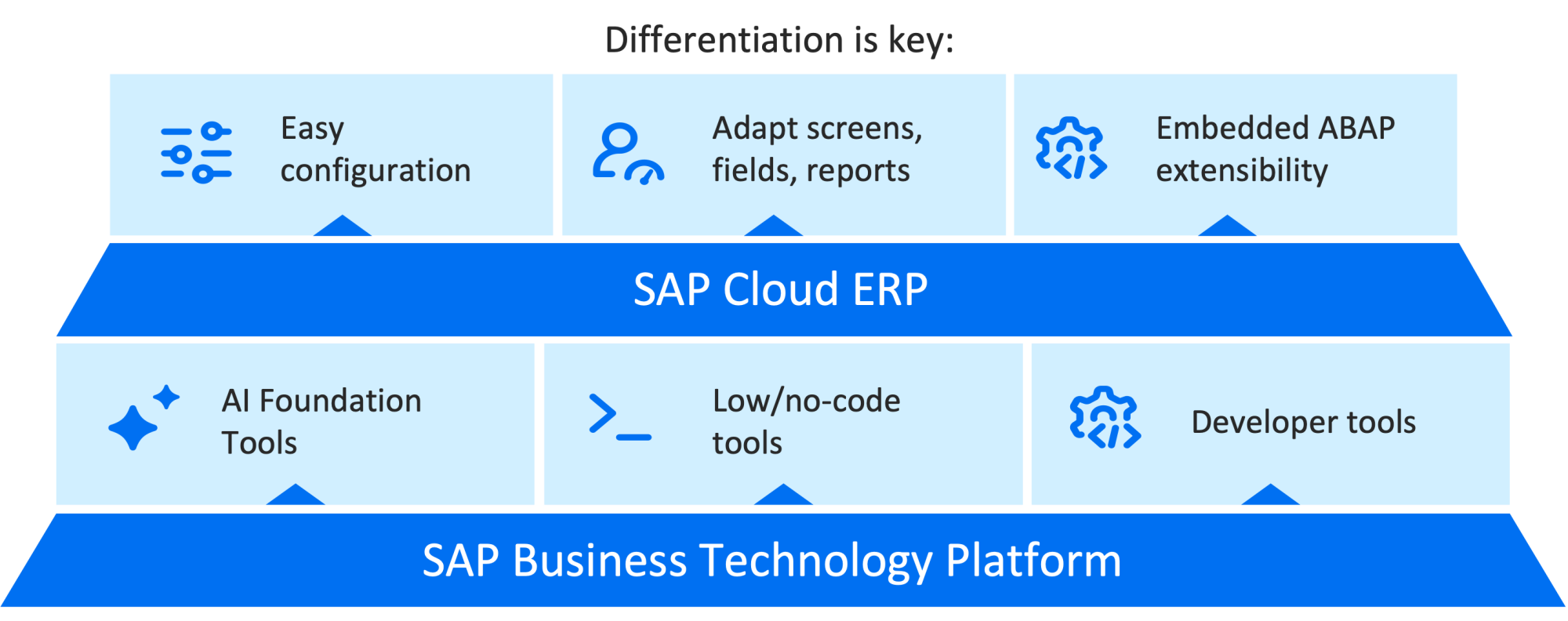 SAP Business Suite - Differentiate