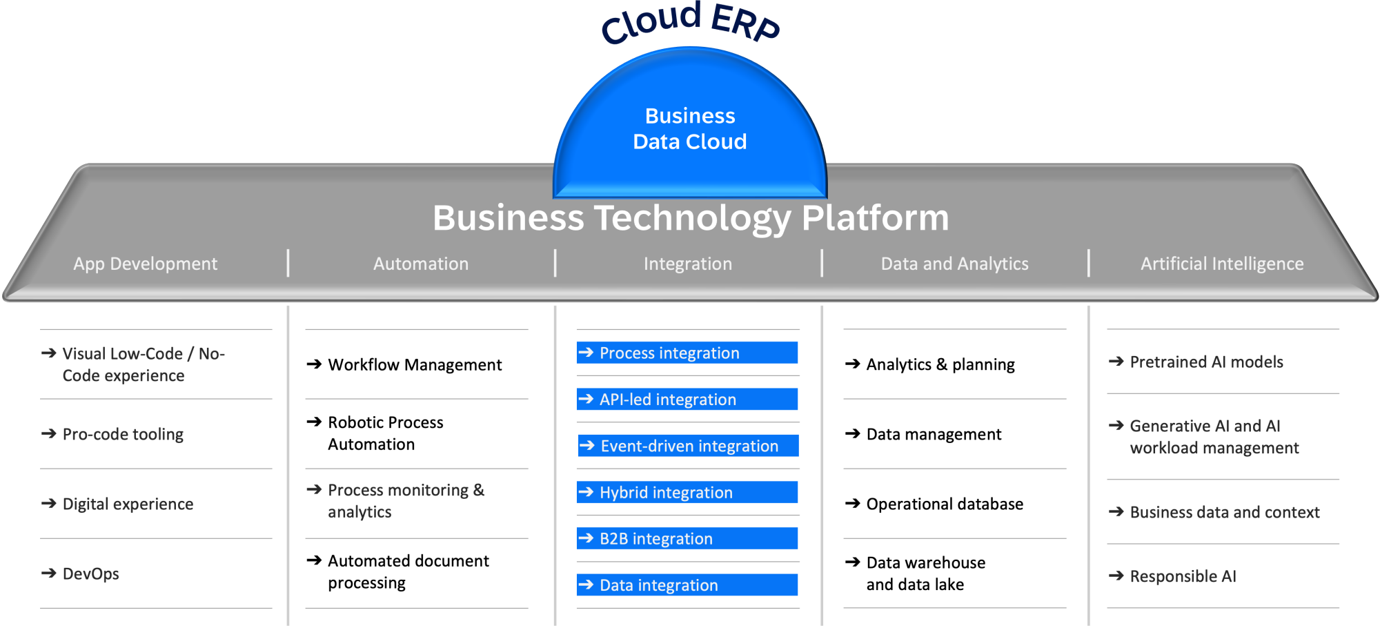 SAP Business Suite Integration Options