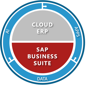 SAP S/4HANA Cloud Public Edition - ERP Features