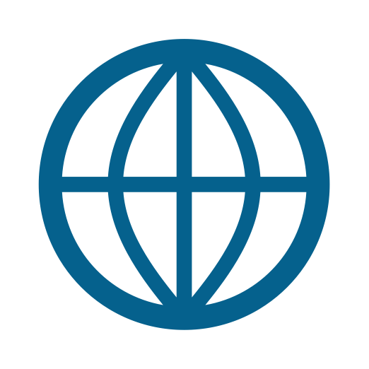 Multi-National Professional Services Firms