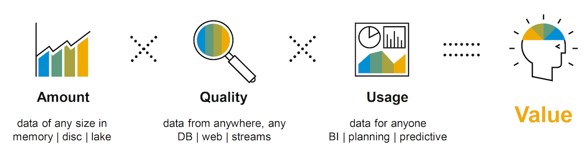 RIse with SAP | Value creation digital enterprise