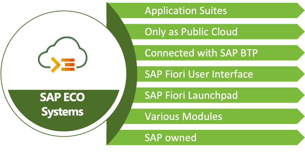 SAP Public Cloud Solution SAP ECO Systems