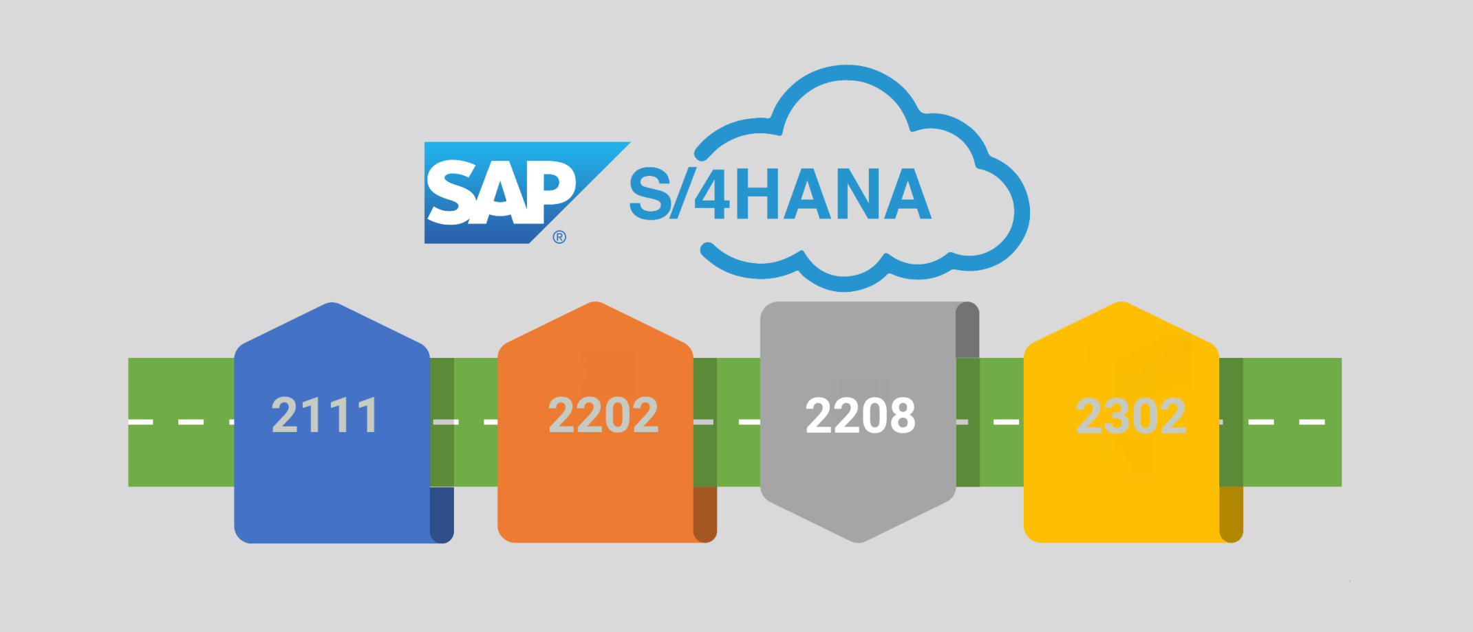 SAP S/4HANA Public Cloud Release 2208 Update