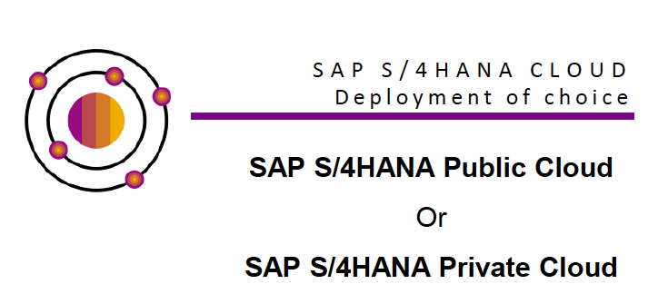 RISE with SAP - SAP S/4HANA Deployment Choice