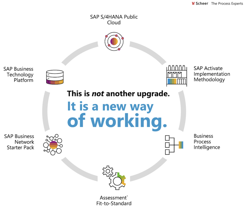 RISE with SAP - Service Model