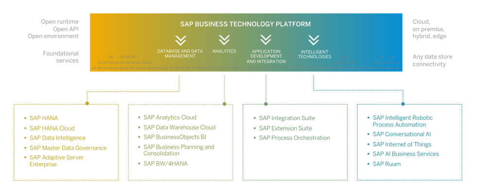 SAP Business Technology Platform | RISE with SAP