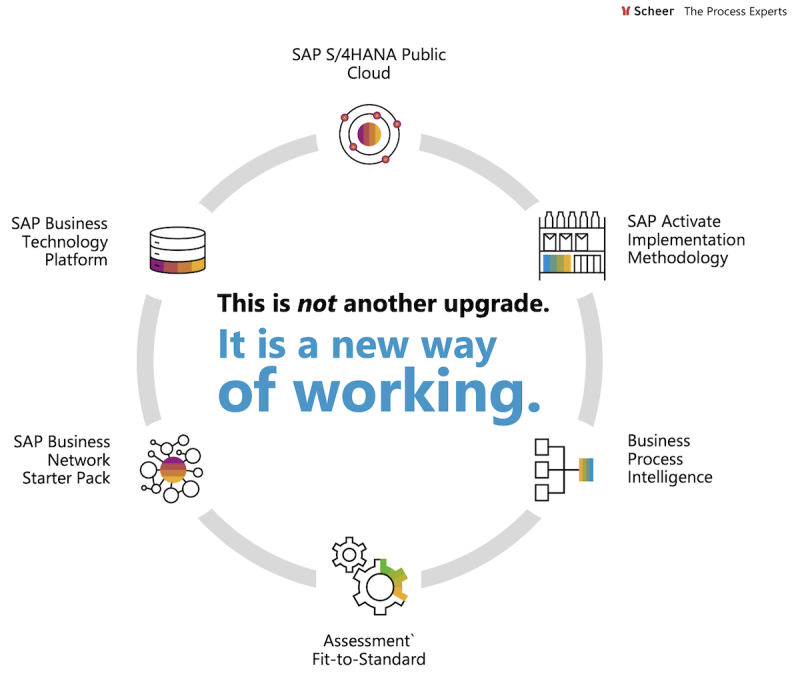 RISE with SAP Transformation Services