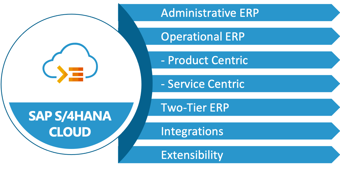 SAP S/4HANA Cloud, Public Edition ERP Options