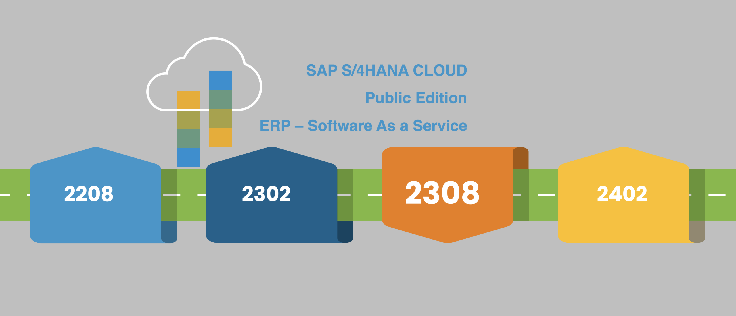 SAP S/4HANA Cloud, Public Edition Release update 2308