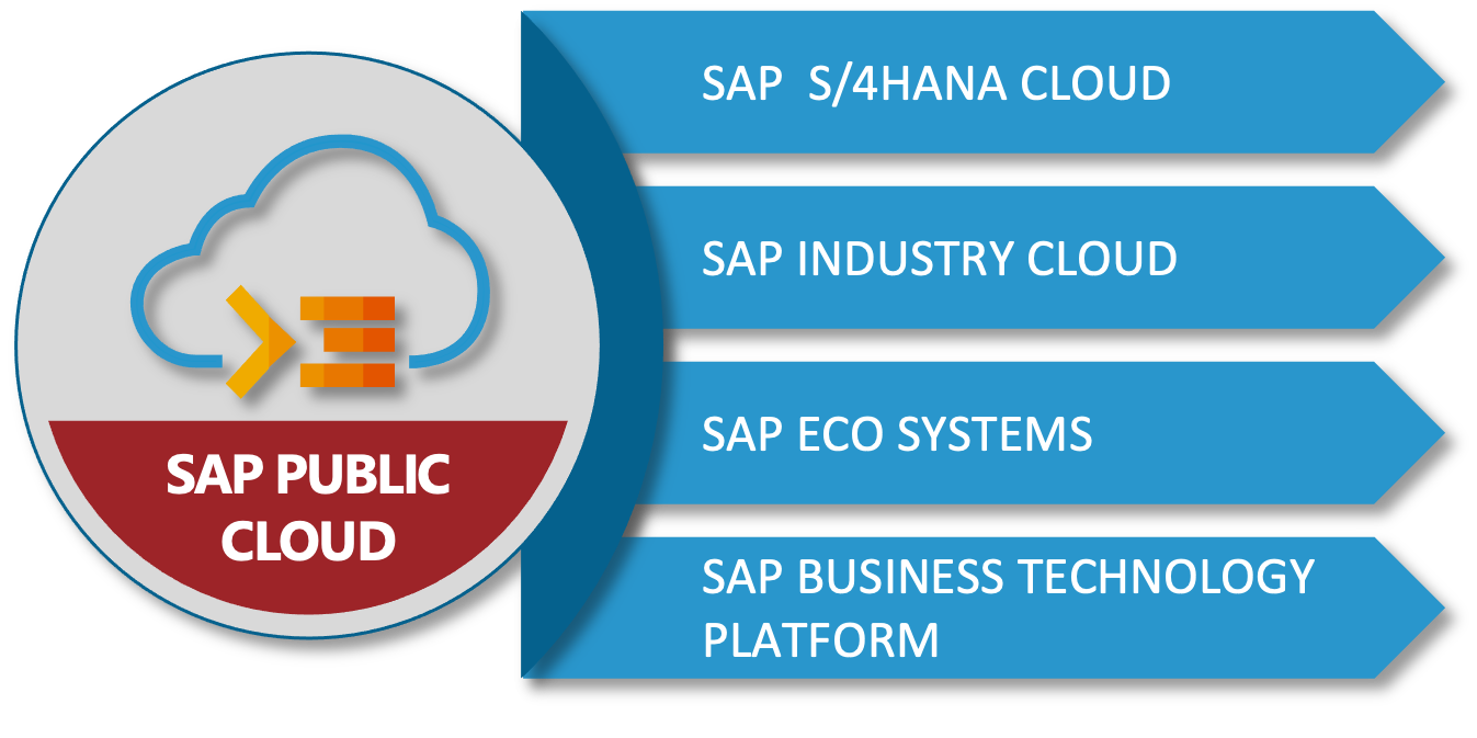 SAP S/4HANA Cloud Platform