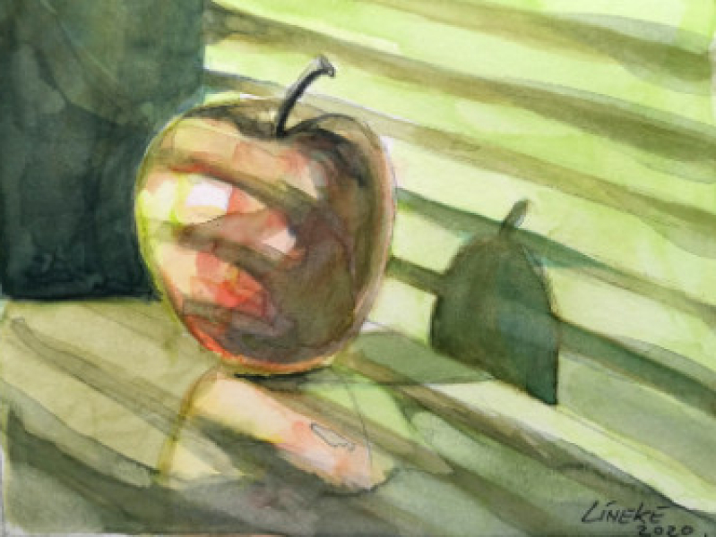 appel aquarelleren met Lineke Lijn