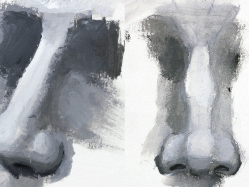 portret schilderen neus toon nagtegaal