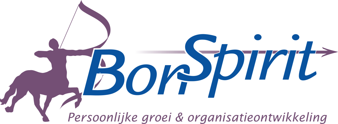 https://bonspirit.nl/