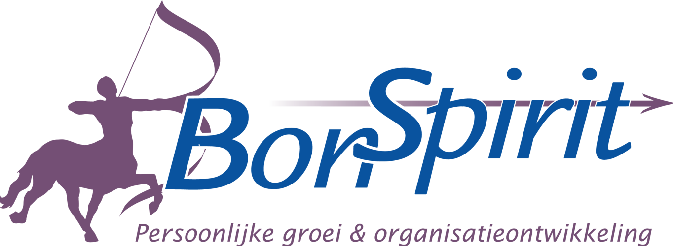 https://bonspirit.nl/