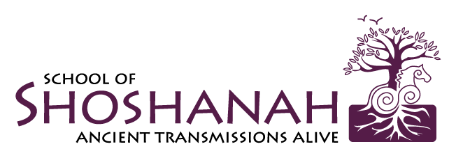 https://www.schoolofshoshanah.nl/