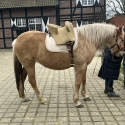 Manar in training