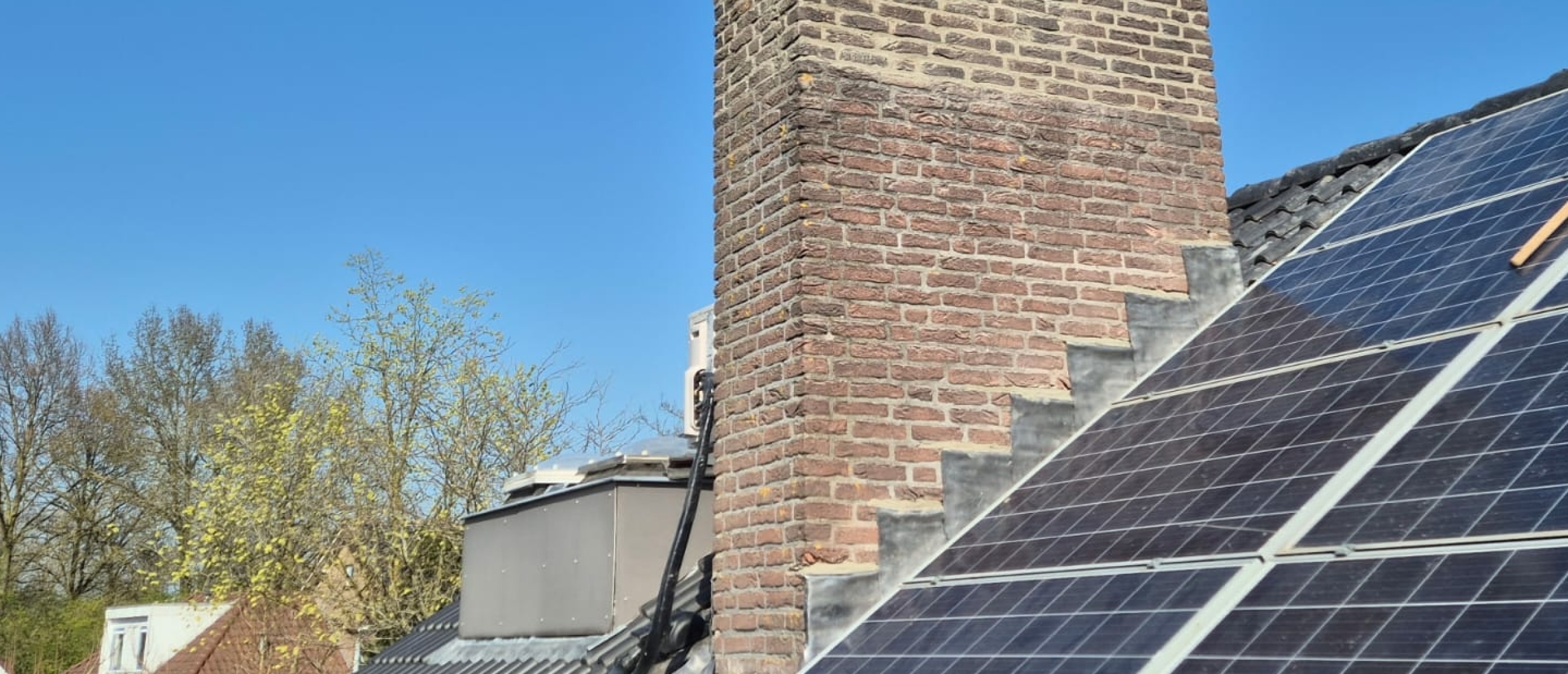 Bladlood renoveren