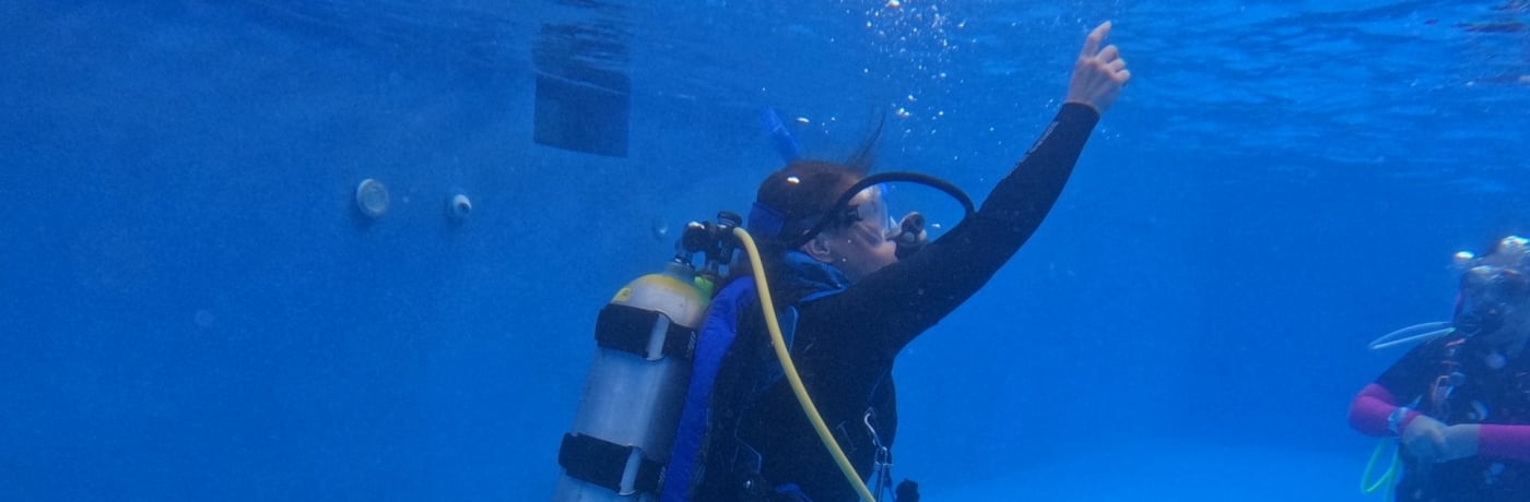 Divemaster, Wat Is Dat? Meer Over De PADI Divemaster Cursus