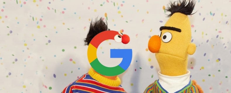 Google Bert update