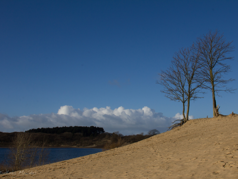 landschap het wed