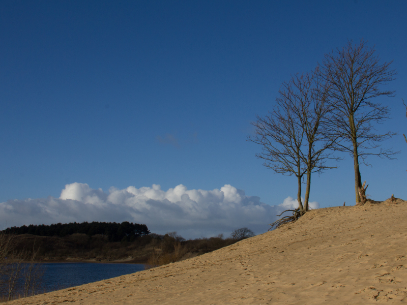 landschap het wed