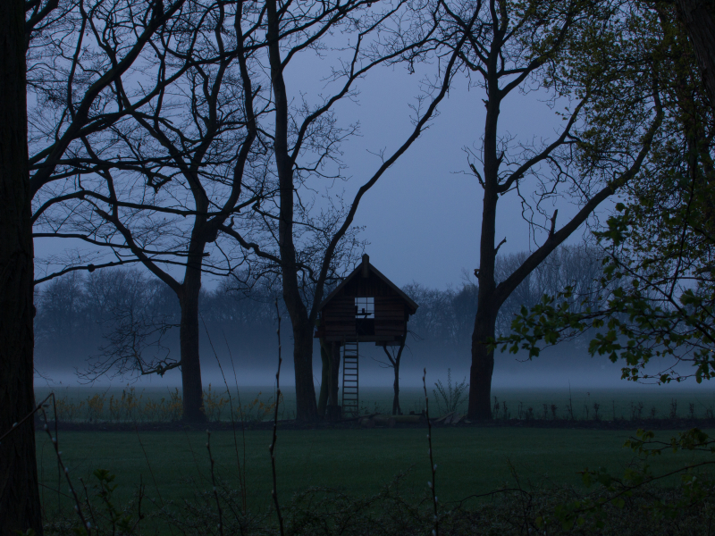marienwaerdt boomhut