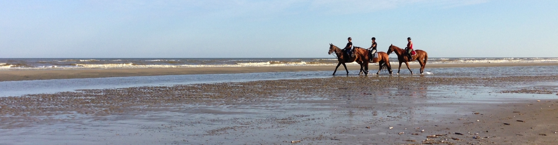 zeeschap met paarden