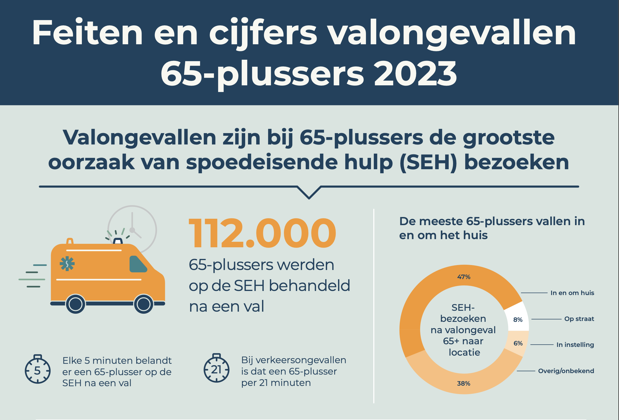 Infographic met feiten en cijfers over valongevallen bij 65-plussers in 2023 – klik om te downloaden