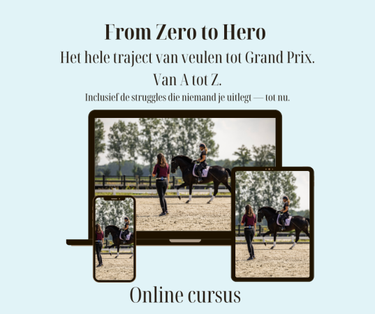 FZTH online cursus