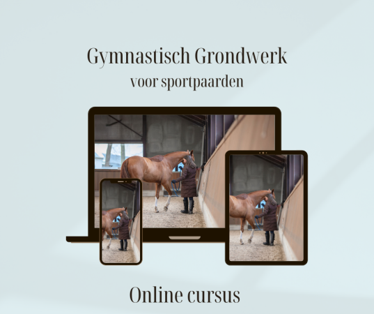 grondwerk cursus voor sportpaarden