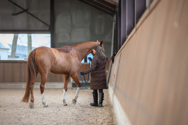 gymnastisch grondwerk