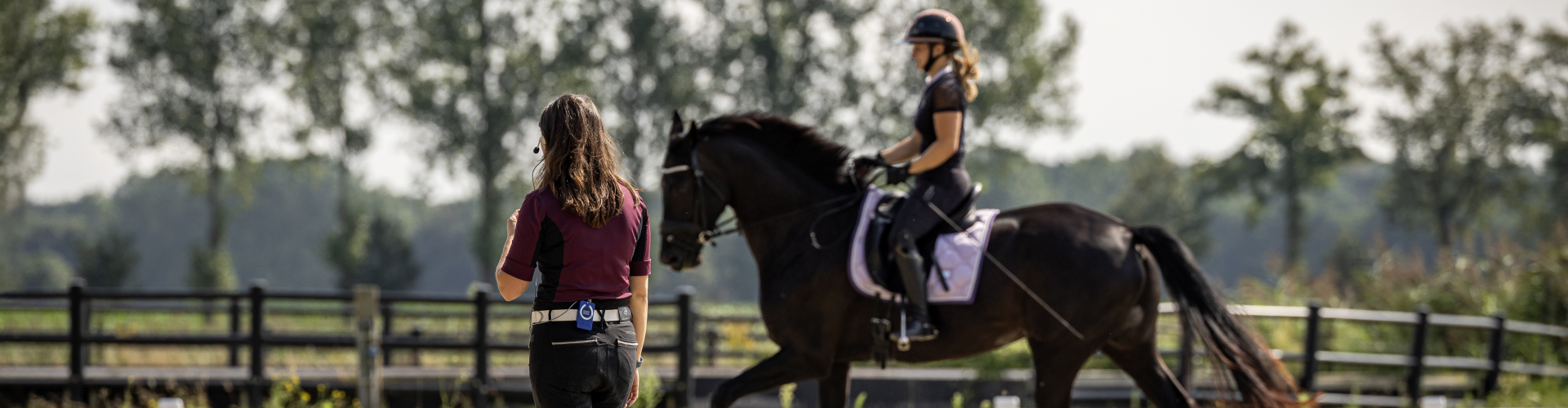 Dressuurles voor jong en oud