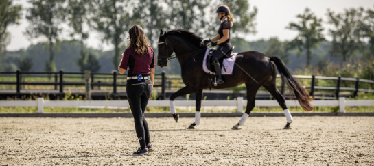 Dressuurles voor jong en oud