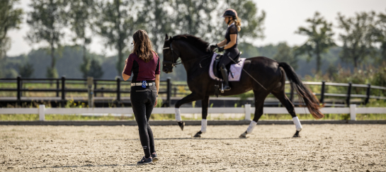 Dressuurles voor jong en oud