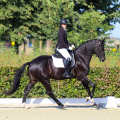 Femke