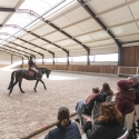 trainingsdagen dressuur