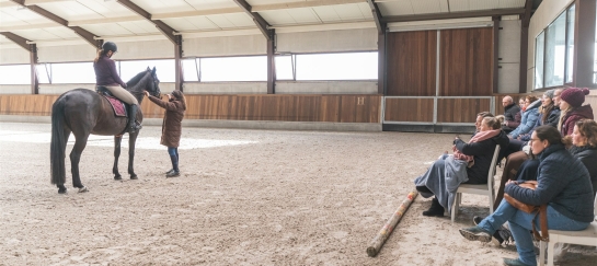 Trainingsdagen dressuur