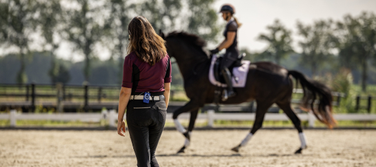 masterclass from zero to hero