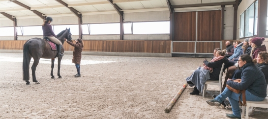 Trainingsdagen dressuur