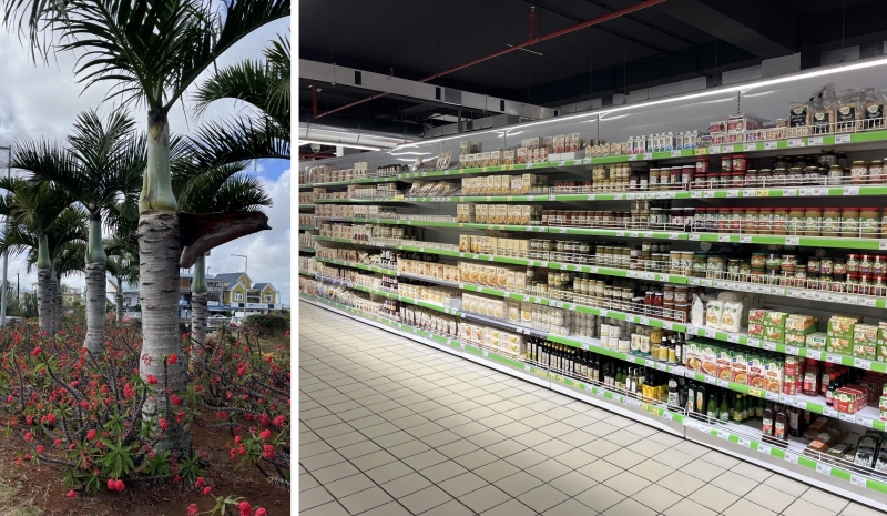 A digital nomad guide to Mauritius A digital nomad guide to Mauritius