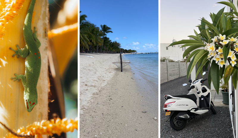 Digital nomad experience Mauritius