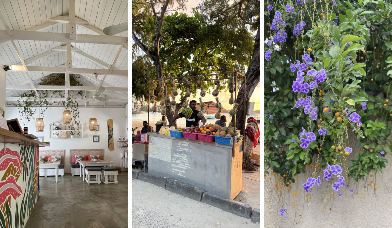 Working Remotely from Mauritius Nomad insider guide