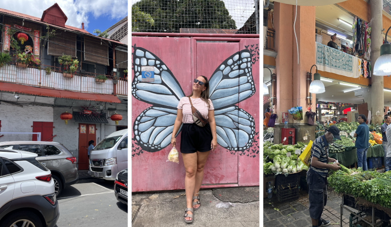 Working remotely from Mauritius Port Louis day trip