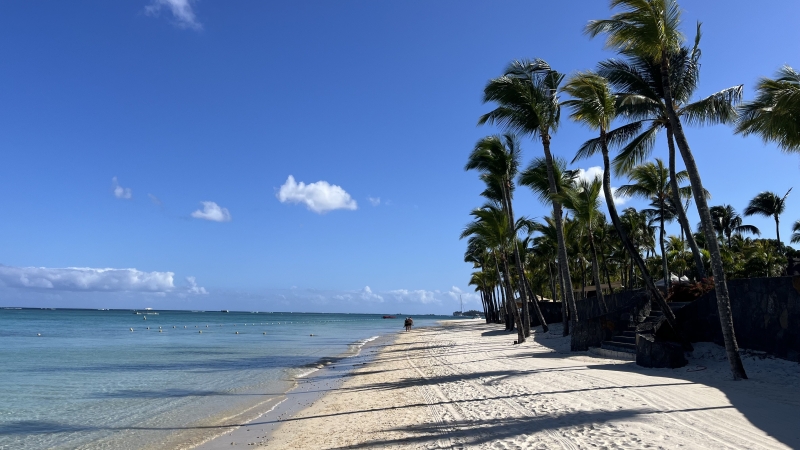 Working Remotely from North-west Mauritus Working Remotely from North-west Mauritus