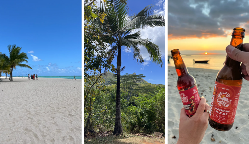Working remotely Mauritius digital nomad experience