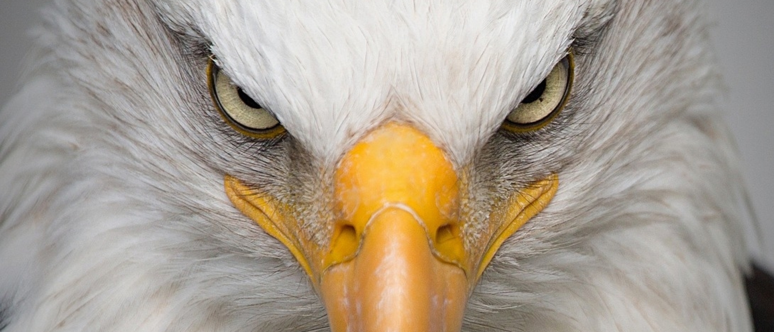 Laserfocus is de nieuwe strategische valuta