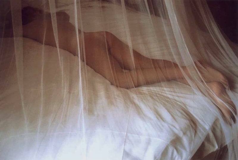 A Place in the Sun by David Hamilton