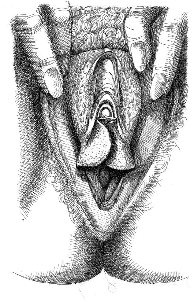 close up female genitalia 