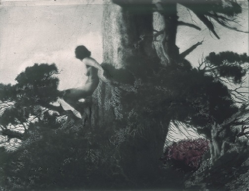 Anne Brigman The Pine Sprite