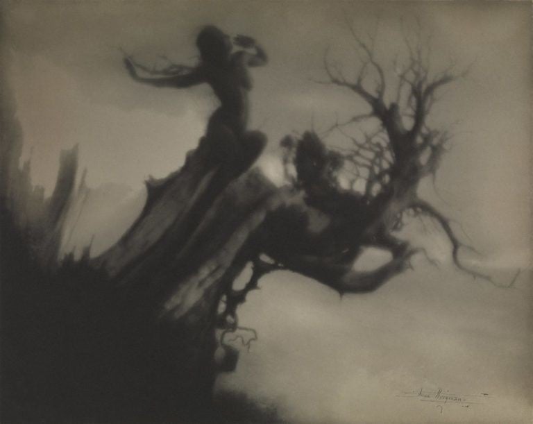 Anne Brigman The Storm Tree